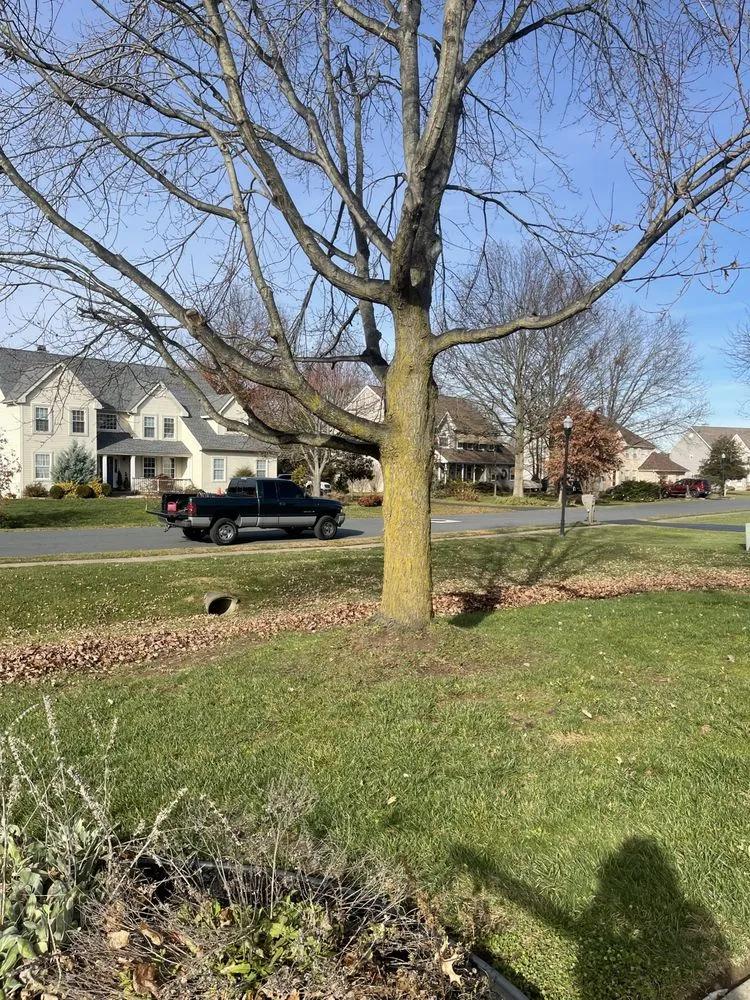 Local landscape installation in Middletown, DE by The Works Property Maintenance