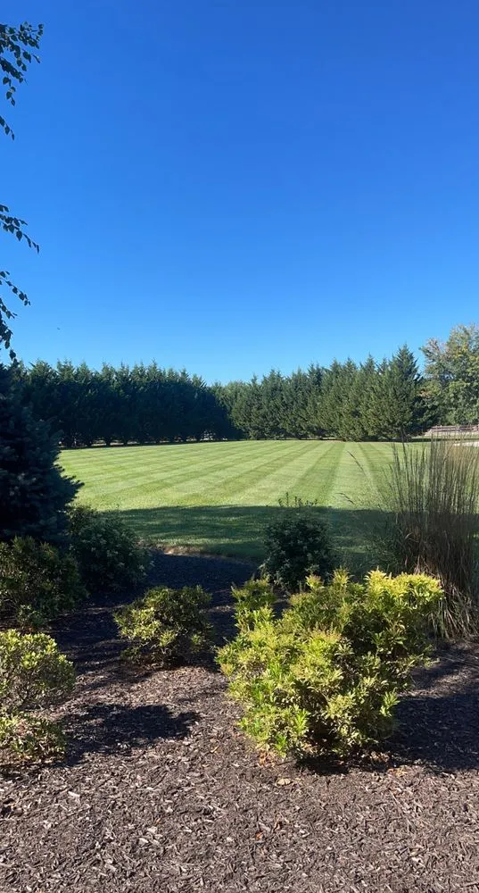 Top-rated yard maintenance near you in Middletown, DE by The Works Property Maintenance