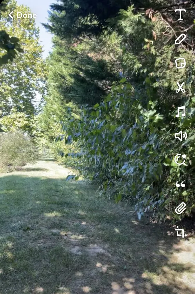 Reliable yard cleanup service in Middletown, DE by The Works Property Maintenance