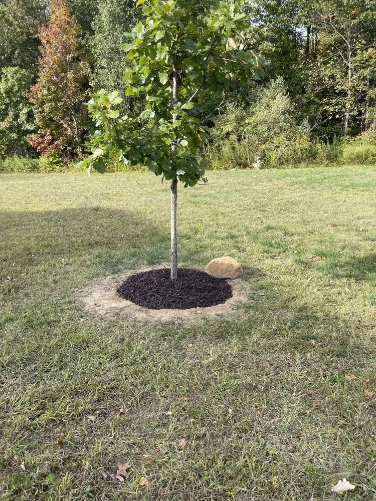 Expert landscape design near you across Middletown, DE - The Works Property Maintenance