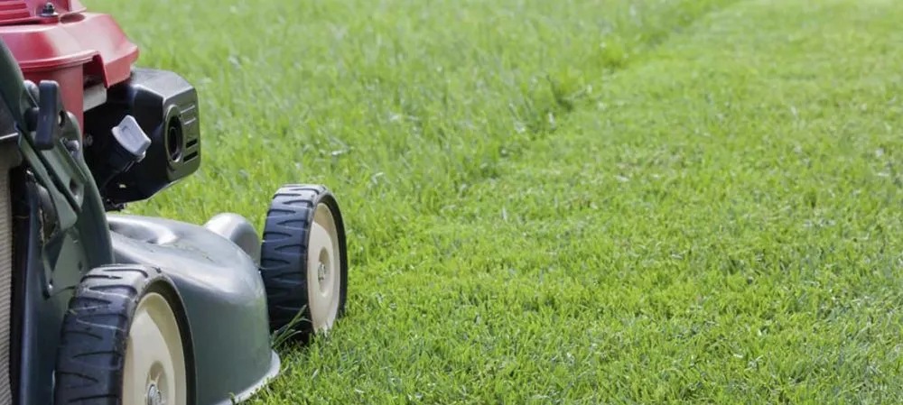 Trusted outdoor landscaping experts serving Middletown, DE - The Works Property Maintenance