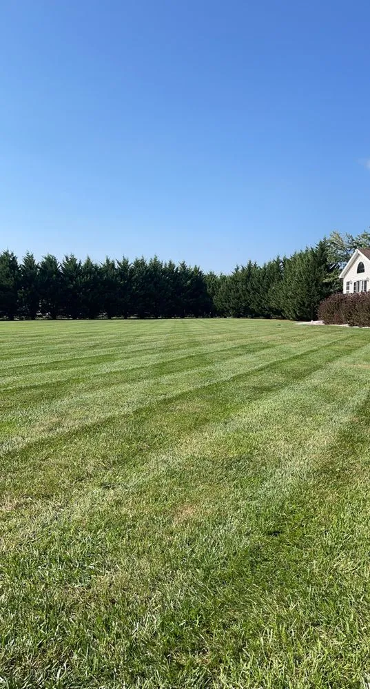Expert residential landscaping for beautiful yards in Middletown, DE by The Works Property Maintenance