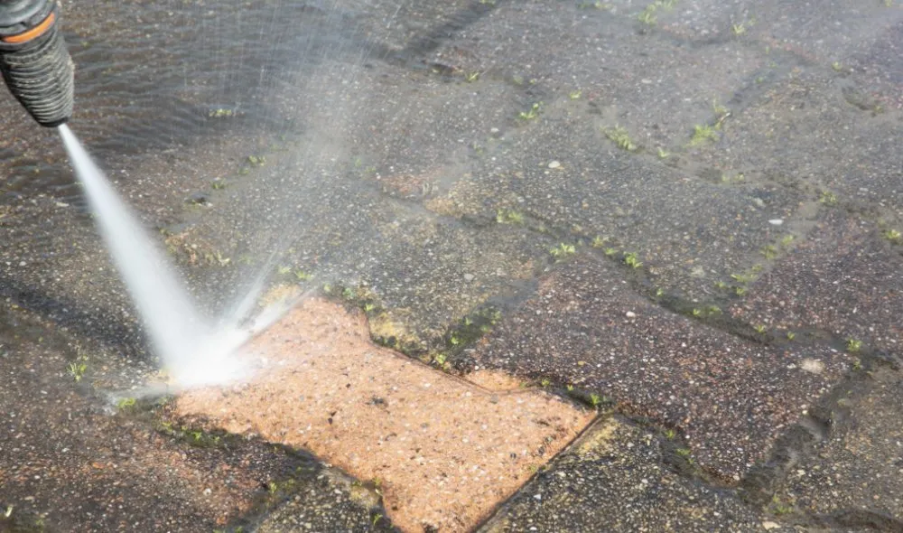 Reliable landscape design for beautiful yards in Middletown, DE by The Works Property Maintenance