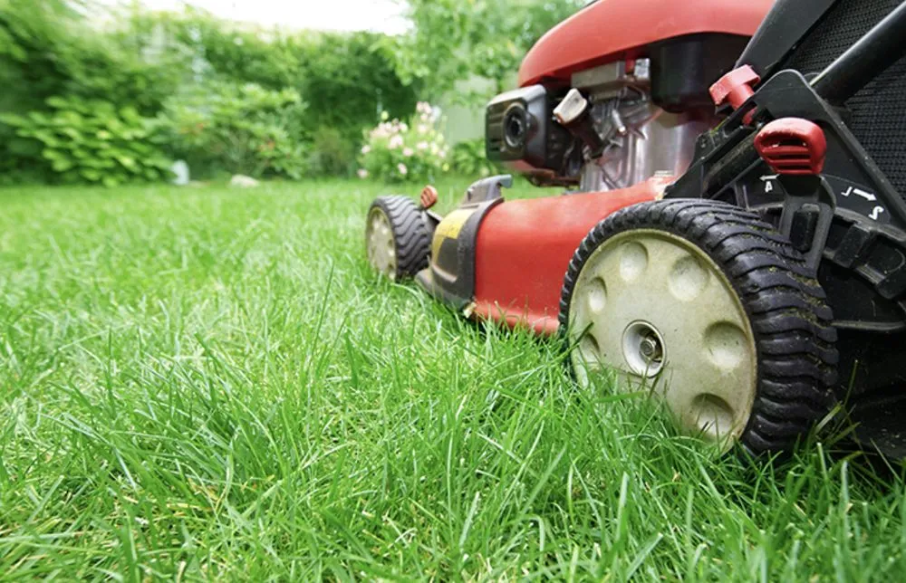 Professional landscape installation in Middletown, DE by The Works Property Maintenance