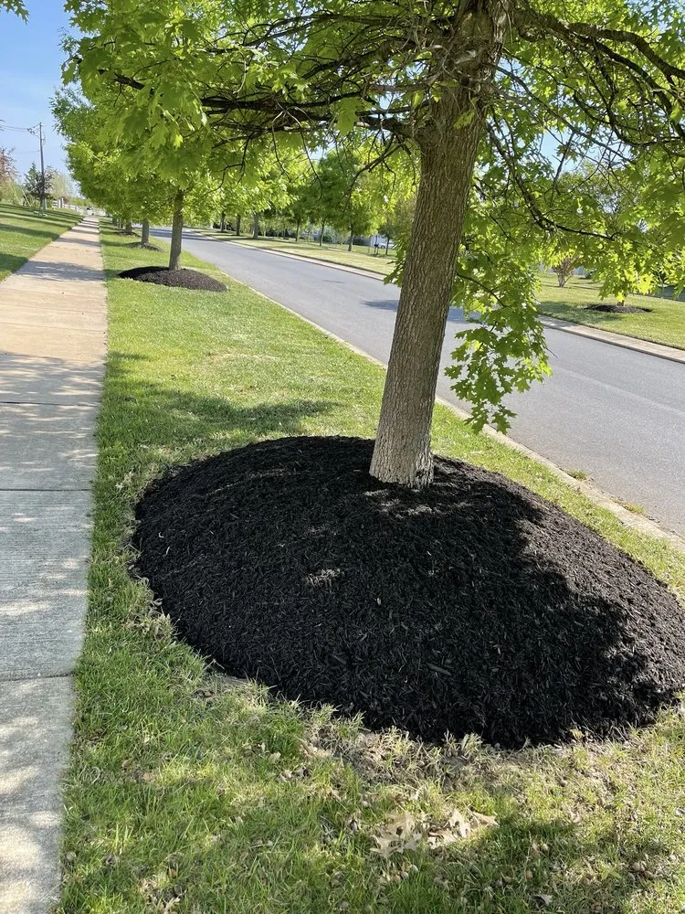 Custom landscape installation in Middletown, DE - The Works Property Maintenance