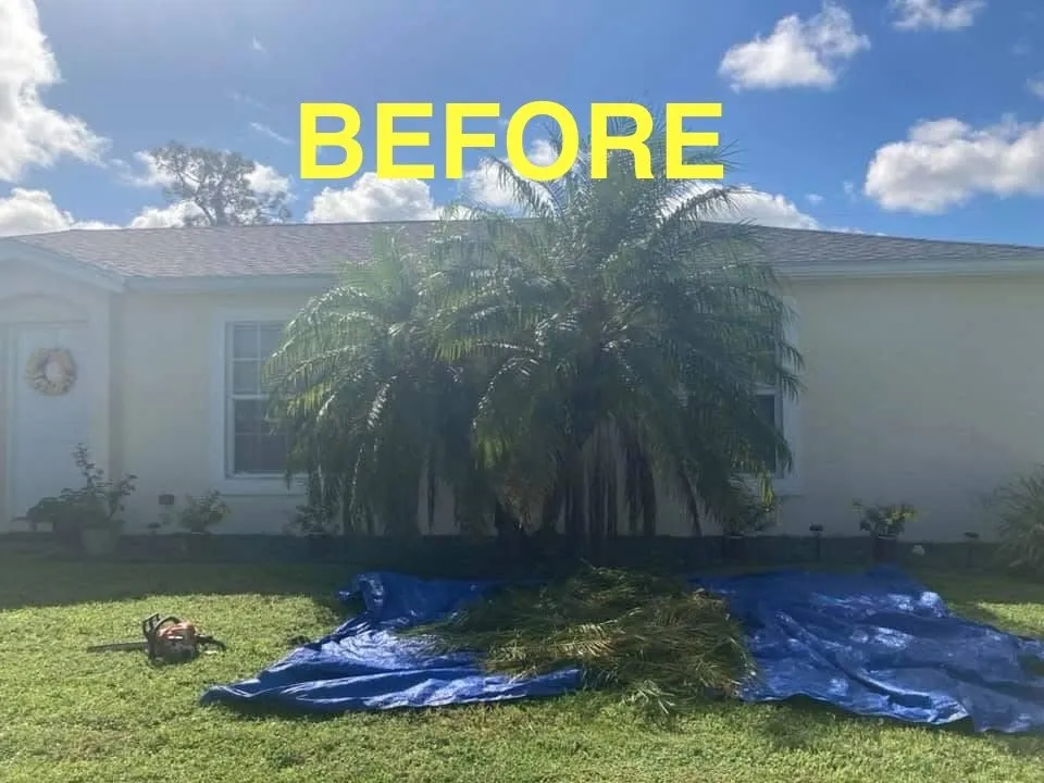 Local residential landscaping for year-round maintenance in Fort Pierce, FL by The World is Yours Lawncare & More