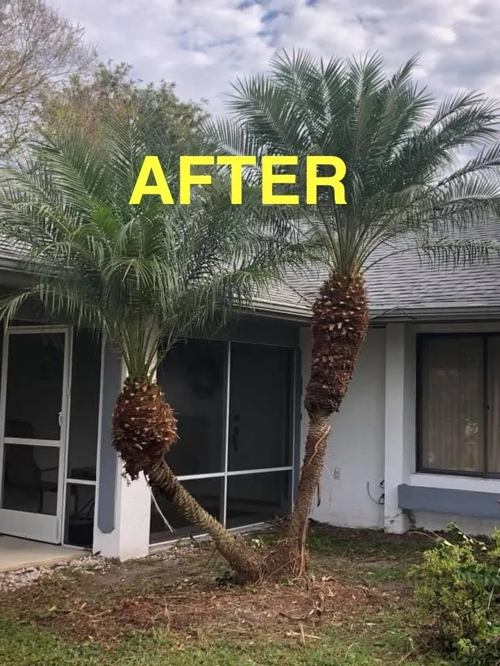 Top-rated lawn care service experts serving Fort Pierce, FL - The World is Yours Lawncare & More