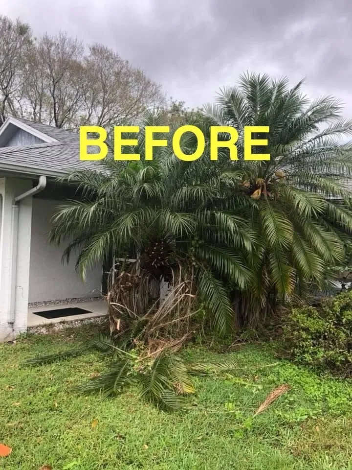 Expert landscape design for outdoor upgrades in Fort Pierce, FL by The World is Yours Lawncare & More