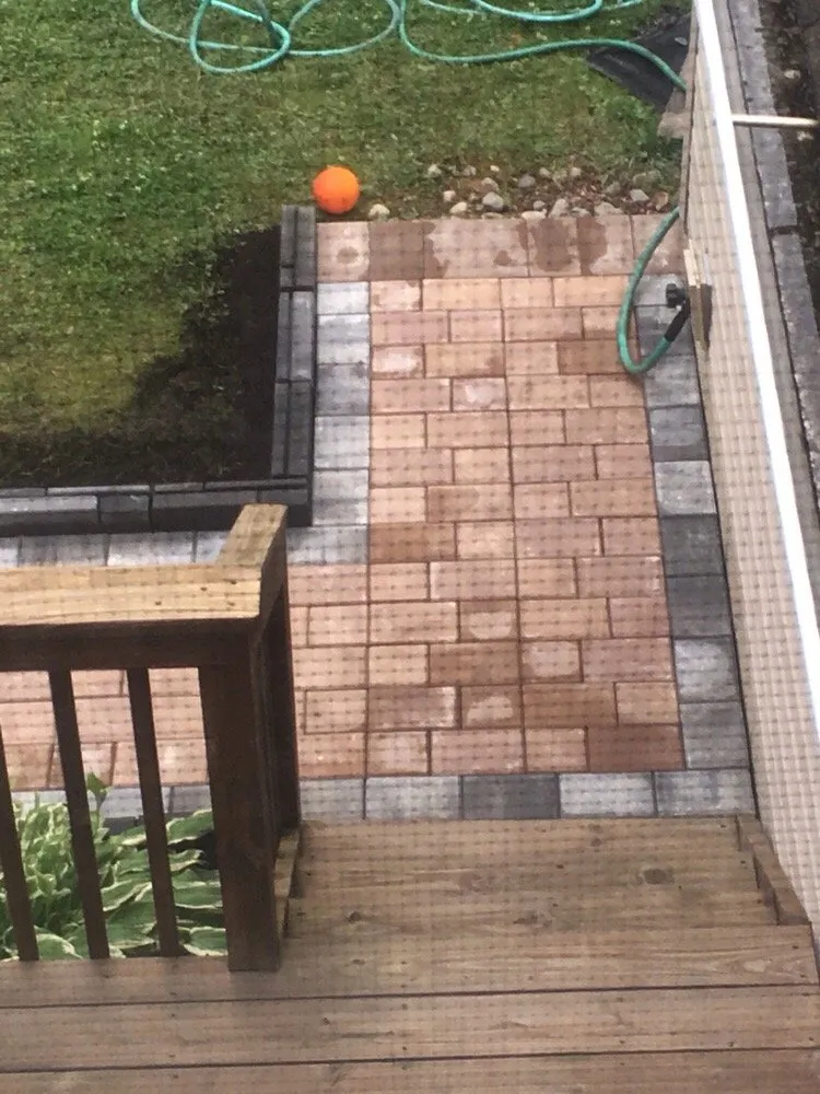 Local yard cleanup service in Philadelphia, PA - The World of Plants