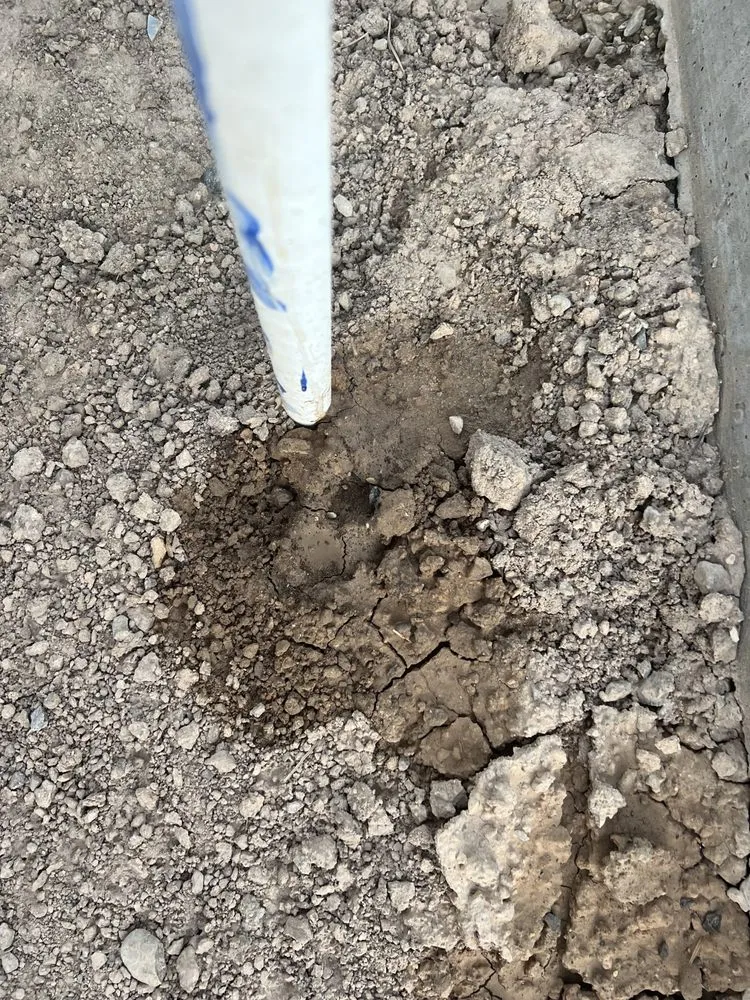 Local landscape design in Spanish Fork, UT by The Worx LawnCare