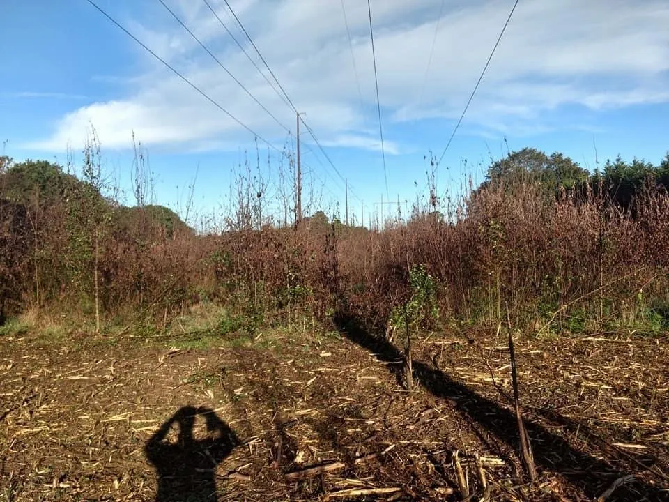 Top-rated outdoor landscaping for residential properties in Milford, DE by The Worx