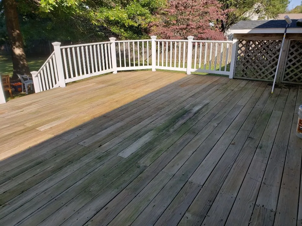 Top-rated yard cleanup service in Strasburg, VA by The Wright Choice Lawn Care