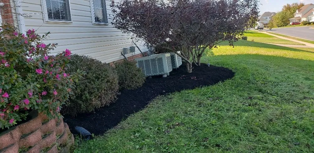 Professional yard maintenance near you across Strasburg, VA - The Wright Choice Lawn Care