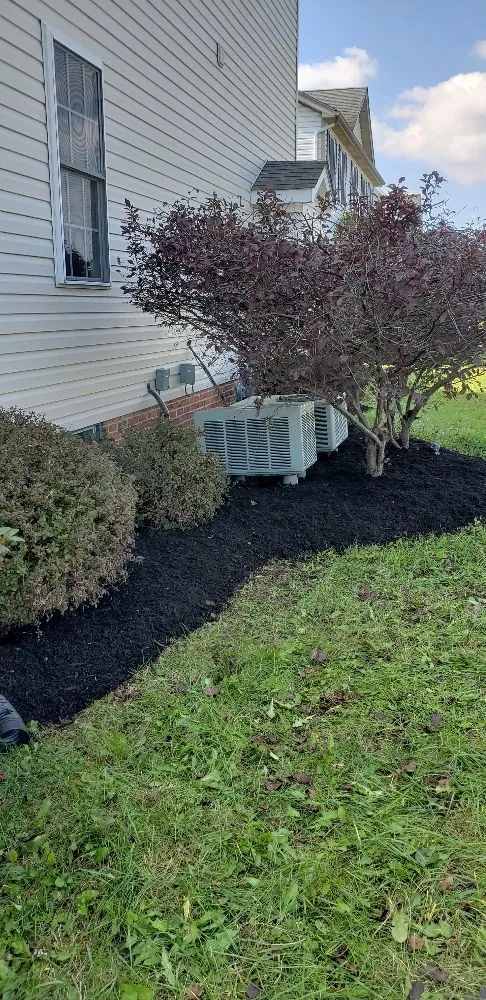 Reliable yard maintenance experts serving Strasburg, VA - The Wright Choice Lawn Care