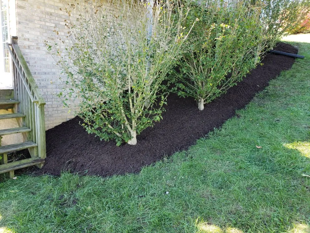 Local outdoor landscaping in Strasburg, VA - The Wright Choice Lawn Care