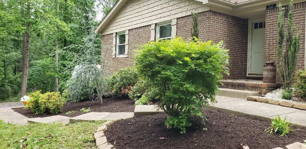 Expert yard cleanup service experts serving Strasburg, VA - The Wright Choice Lawn Care