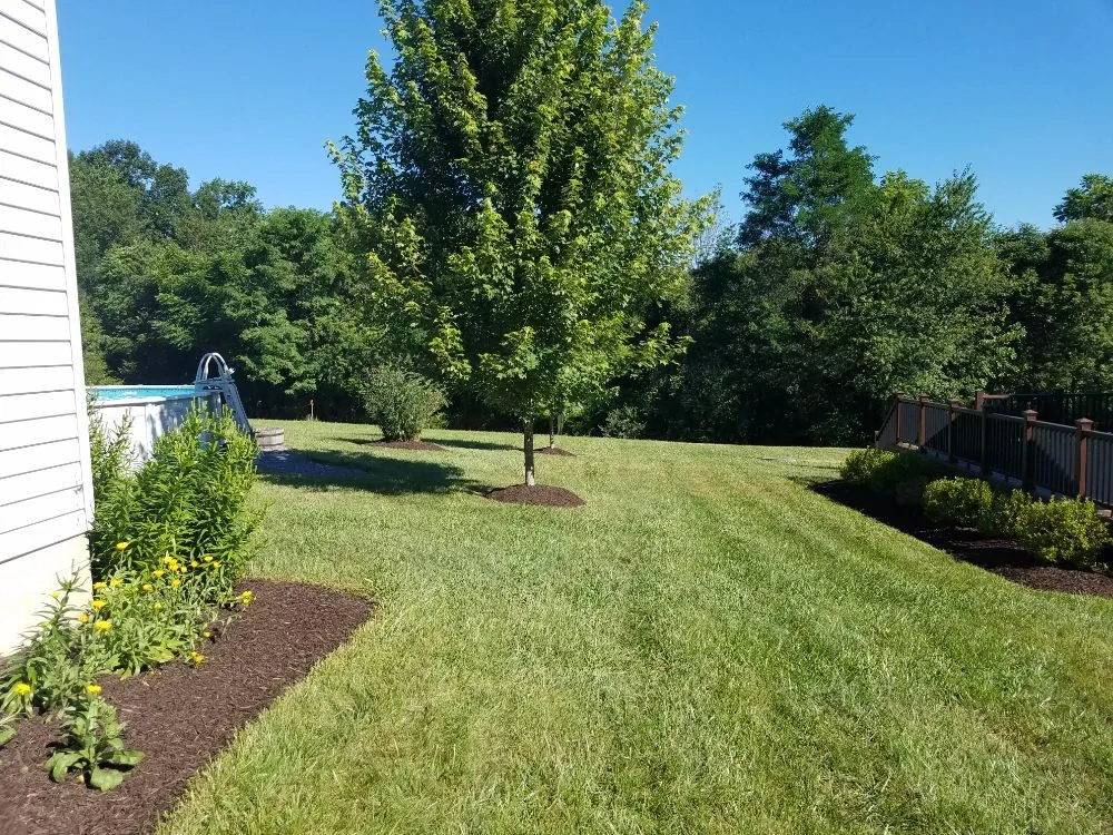 Professional lawn mowing service in Strasburg, VA by The Wright Choice Lawn Care