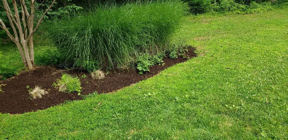 Trusted lawn care service near you in Strasburg, VA by The Wright Choice Lawn Care