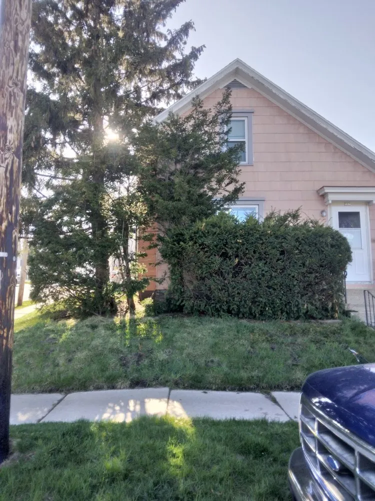 Affordable yard maintenance in Watertown, WI - The Wright Cut