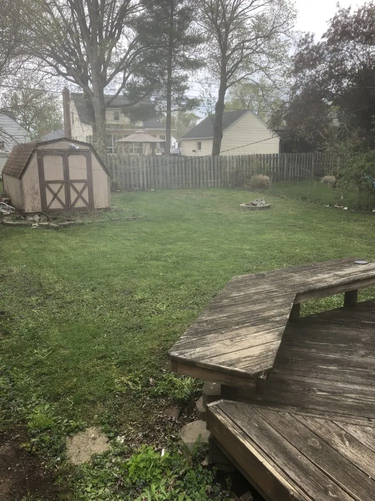 Expert yard cleanup service experts serving Springfield, OH - THE WRIGHT CUTZ