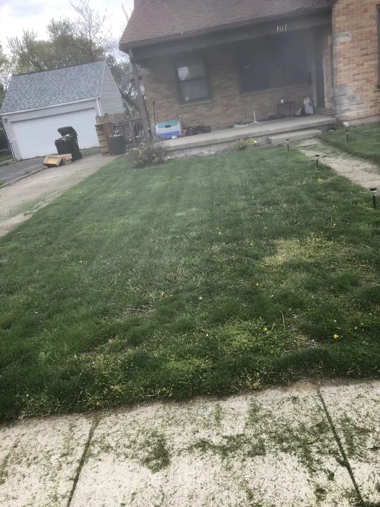 Custom landscape installation for outdoor upgrades across Springfield, OH - THE WRIGHT CUTZ