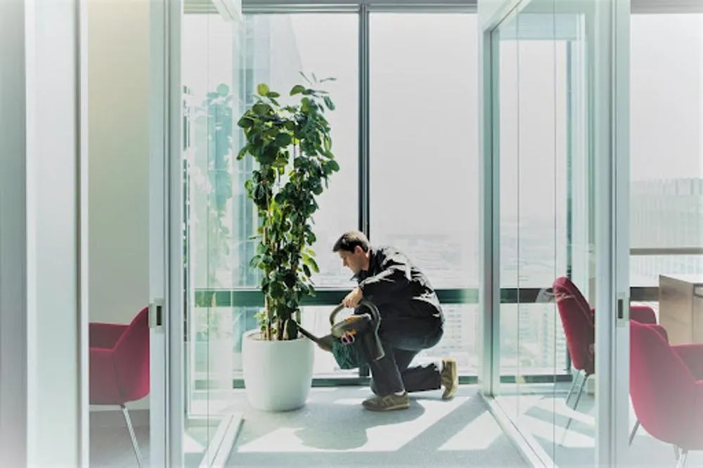 Custom lawn mowing service near you in South San Francisco, CA by The Wright Gardner