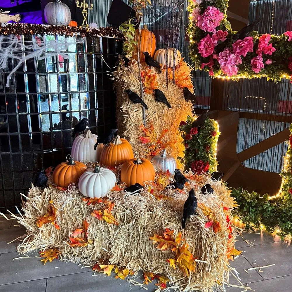 Trusted landscape installation experts serving South San Francisco, CA - The Wright Gardner