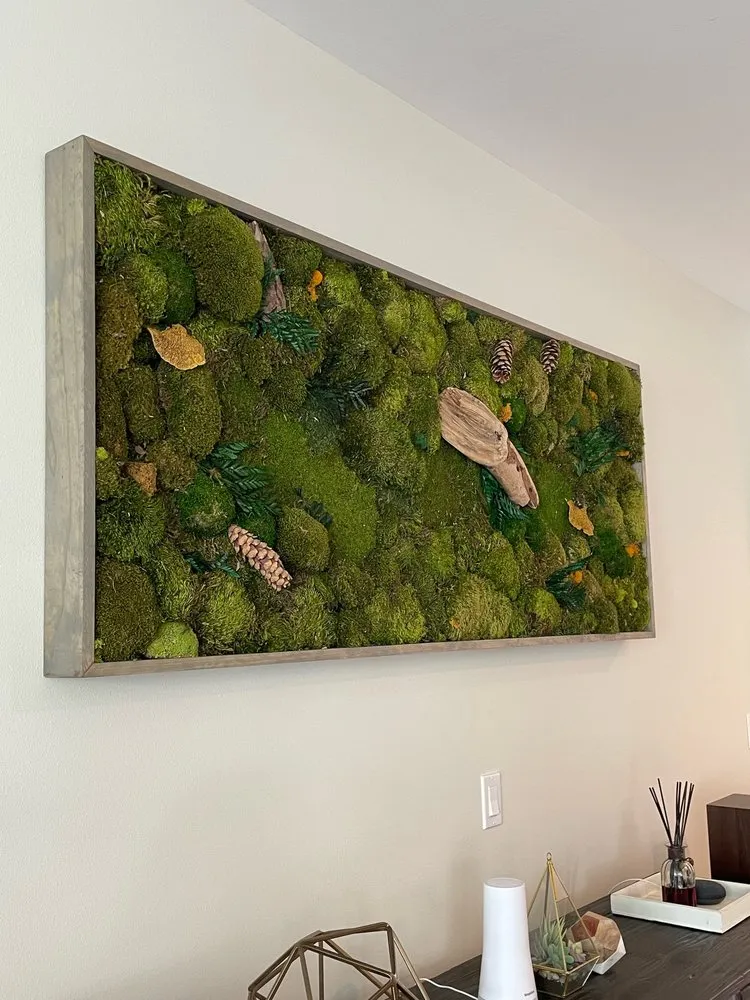 Reliable yard cleanup service experts serving South San Francisco, CA - The Wright Gardner