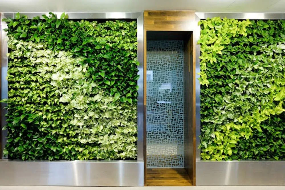 Reliable landscape design in South San Francisco, CA by The Wright Gardner