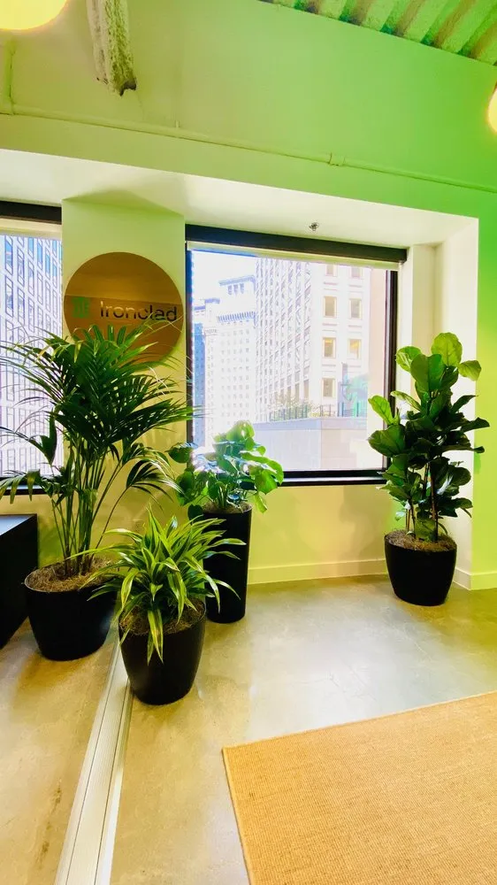 Local garden landscaping experts serving South San Francisco, CA - The Wright Gardner