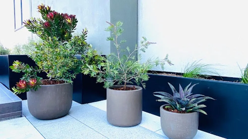 Affordable outdoor landscaping for outdoor upgrades in South San Francisco, CA by The Wright Gardner