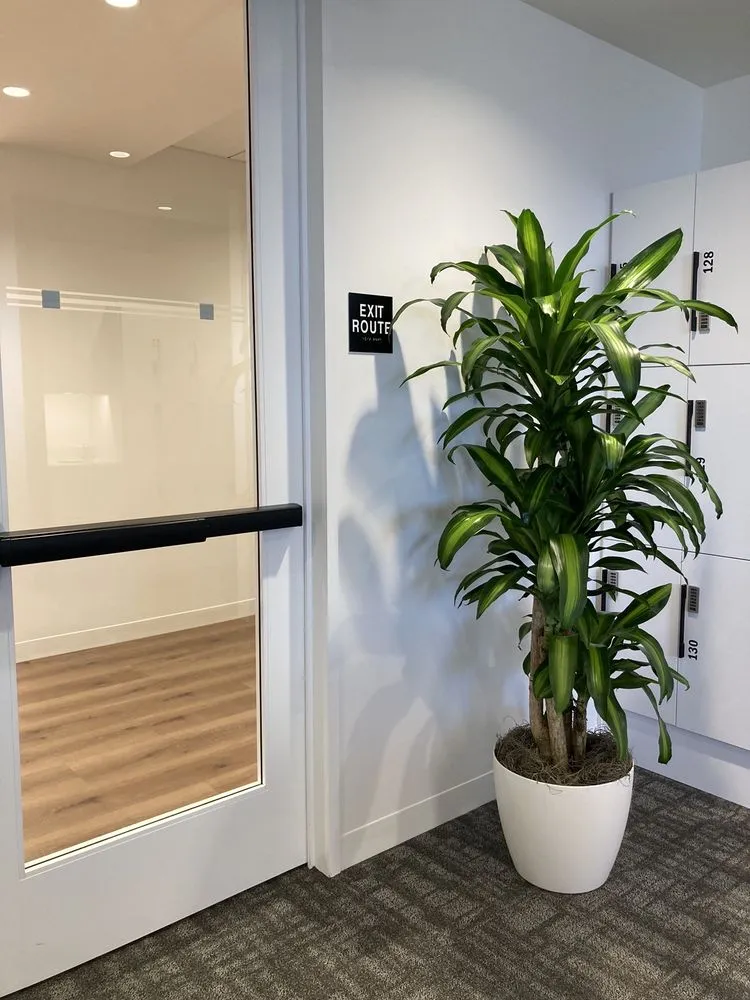 Top-rated yard cleanup service experts serving South San Francisco, CA - The Wright Gardner