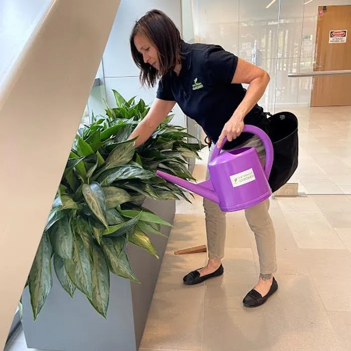 Local yard cleanup service for homes across South San Francisco, CA - The Wright Gardner