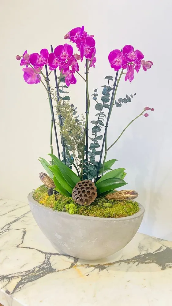 Local lawn care service in South San Francisco, CA - The Wright Gardner