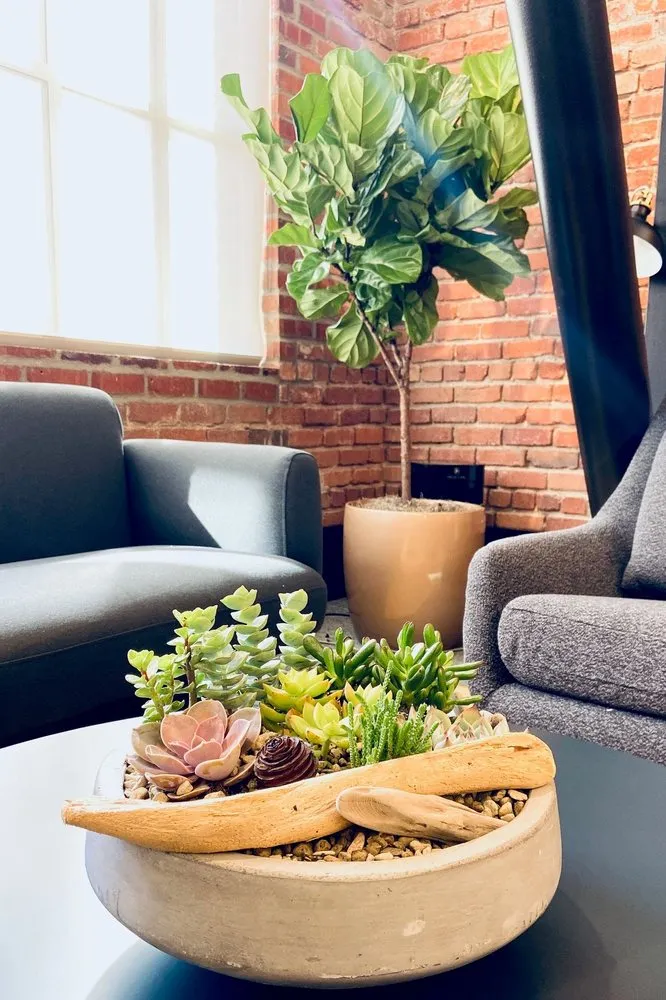 Trusted lawn care service experts serving South San Francisco, CA - The Wright Gardner