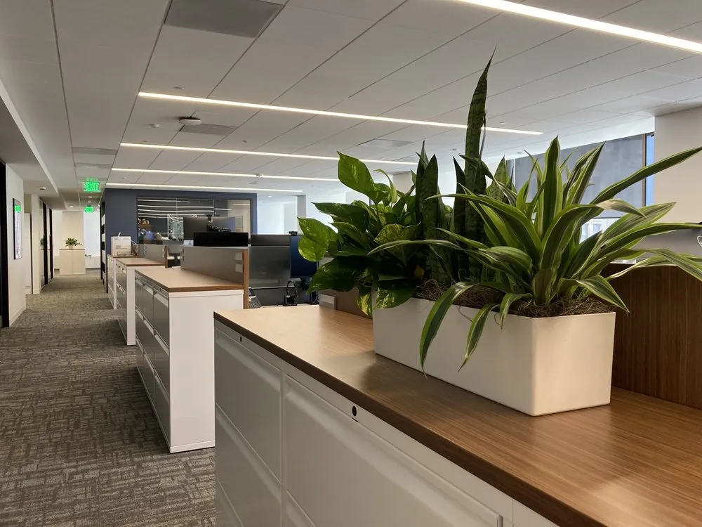 Top-rated landscape installation for residential properties across South San Francisco, CA - The Wright Gardner