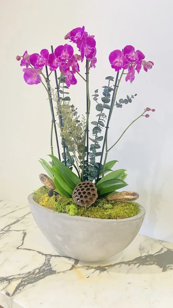 Top-rated residential landscaping in South San Francisco, CA by The Wright Gardner