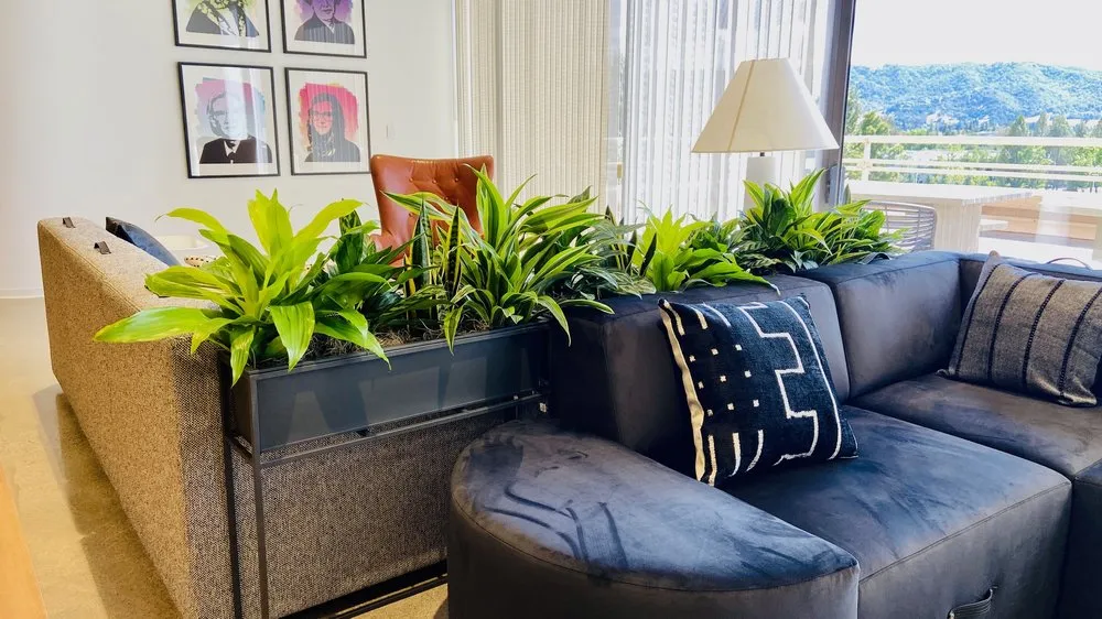 Affordable lawn care service in South San Francisco, CA - The Wright Gardner