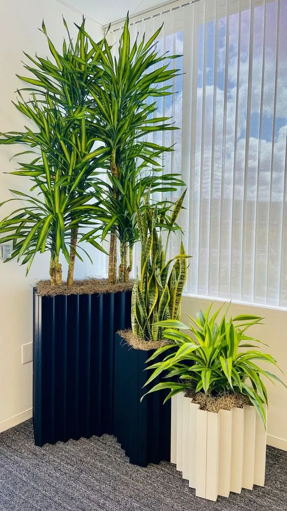 Top-rated lawn mowing service in South San Francisco, CA by The Wright Gardner