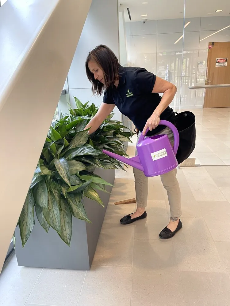 Top-rated landscape design in South San Francisco, CA by The Wright Gardner