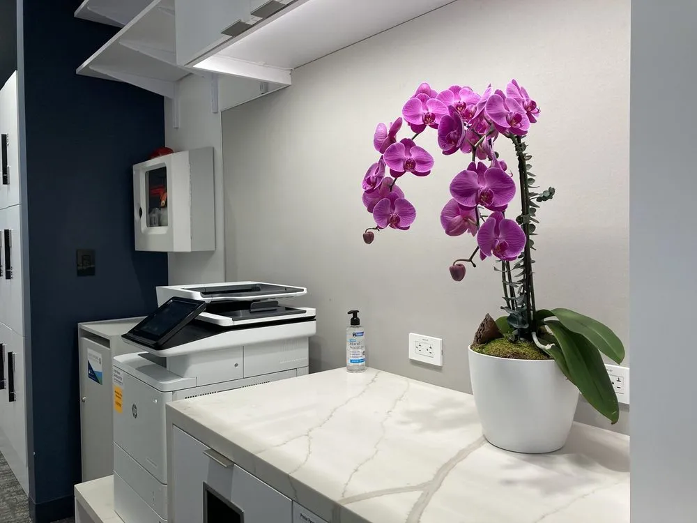 Reliable yard maintenance experts serving South San Francisco, CA - The Wright Gardner