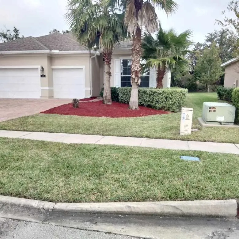 Local yard maintenance experts serving Jacksonville, FL - The Wright Lawn Care