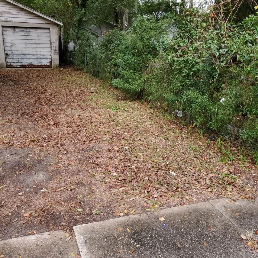 Reliable lawn care service for outdoor upgrades across Jacksonville, FL - The Wright Lawn Care