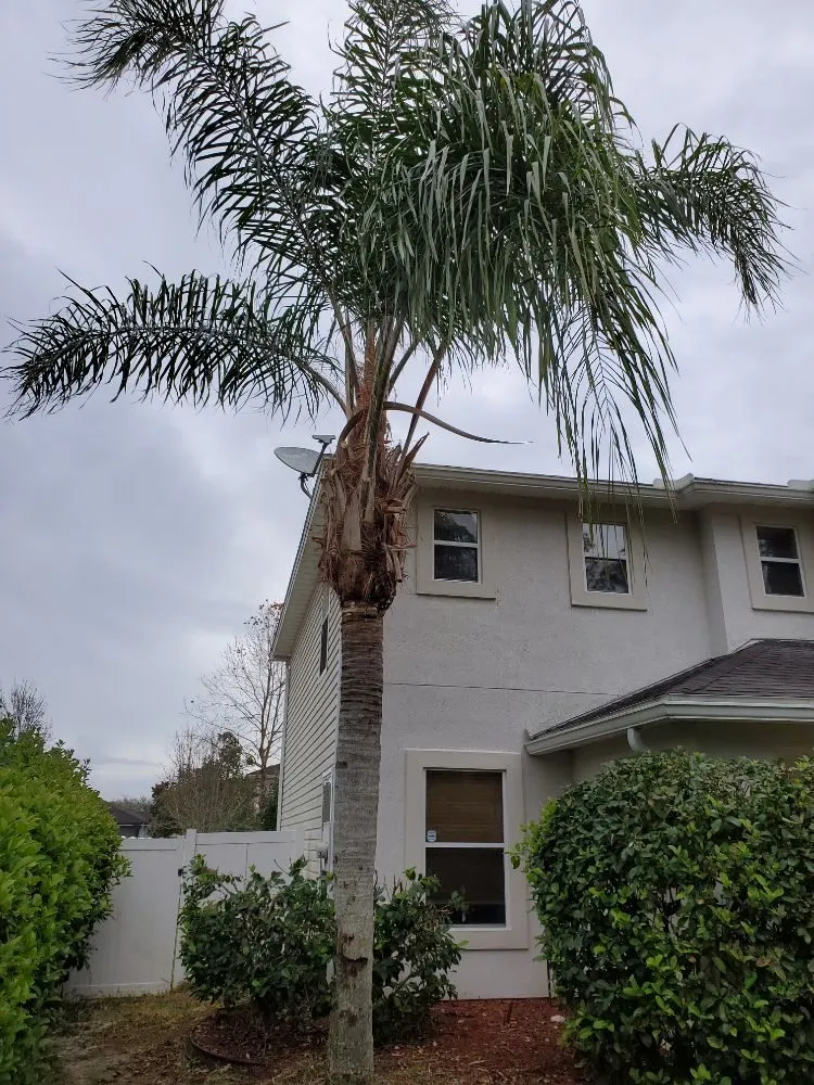 Professional landscape design experts serving Jacksonville, FL - The Wright Lawn Care