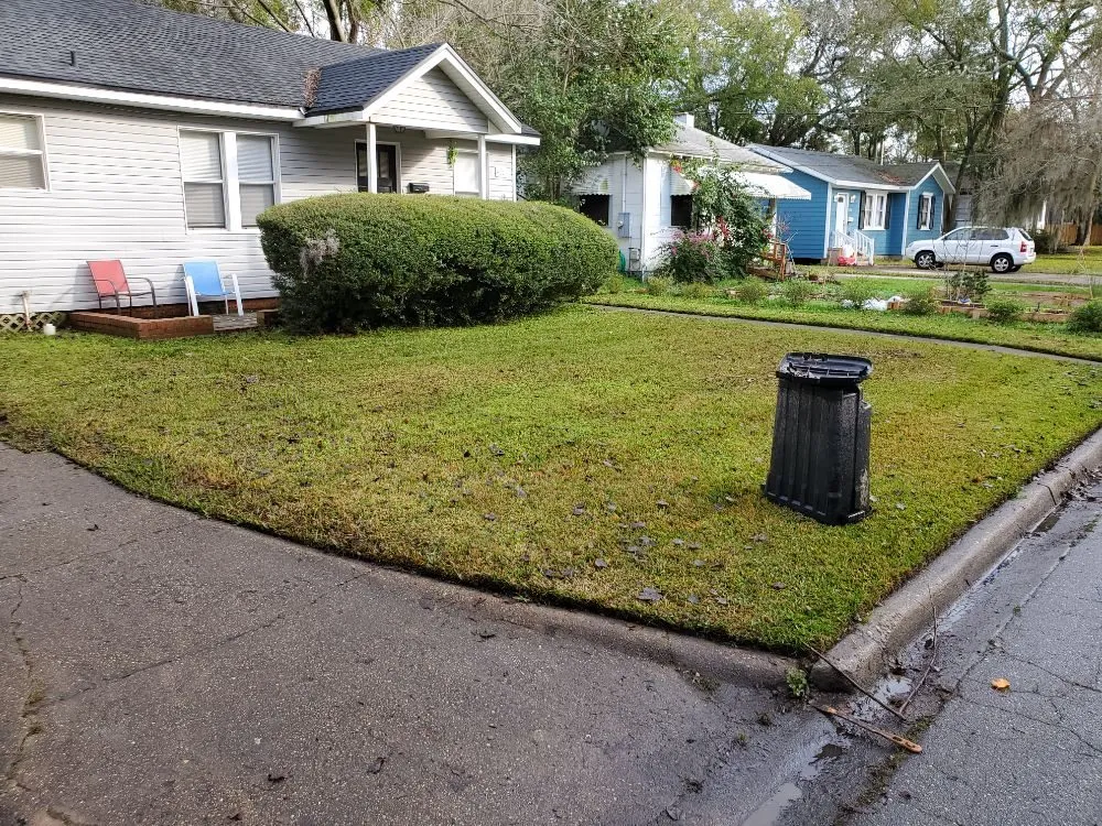 Expert lawn care service for year-round maintenance across Jacksonville, FL - The Wright Lawn Care
