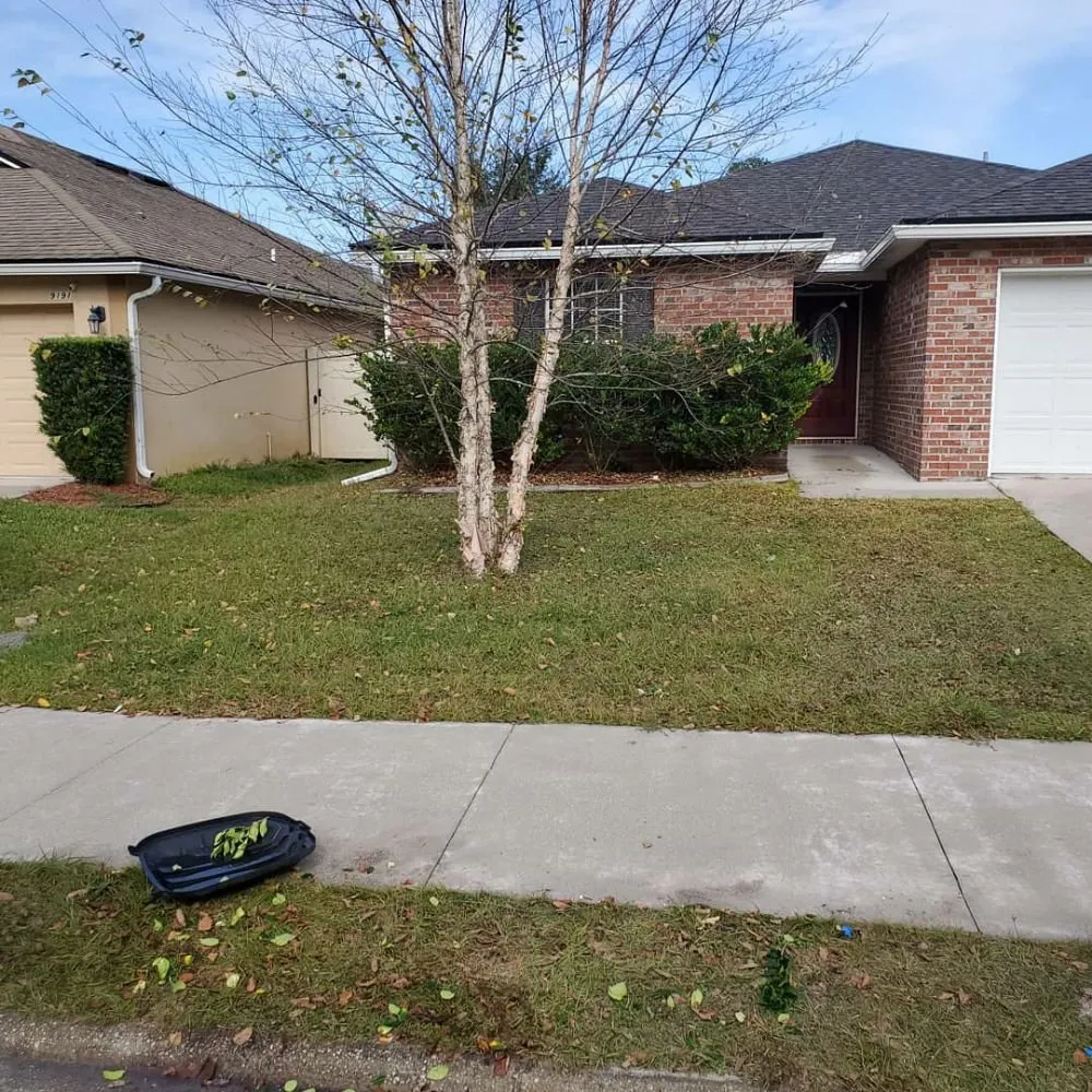 Custom residential landscaping experts serving Jacksonville, FL - The Wright Lawn Care