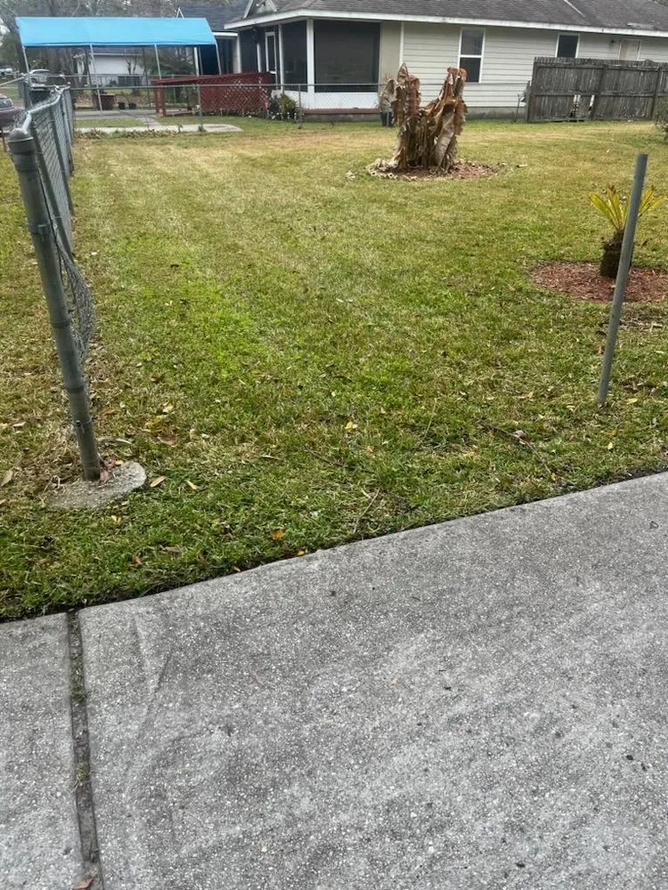 Reliable residential landscaping in New Port Richey, FL - The Wright Lawn Care