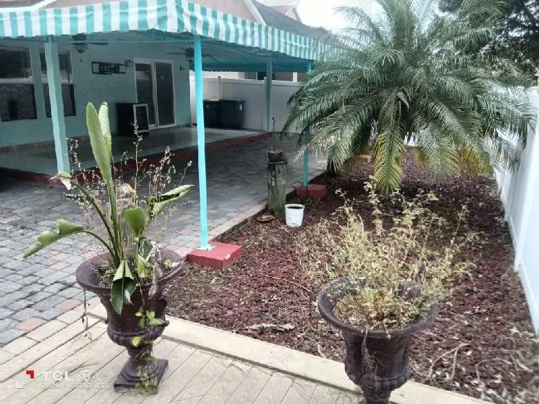 Custom lawn care service in New Port Richey, FL by The Wright Lawn Care