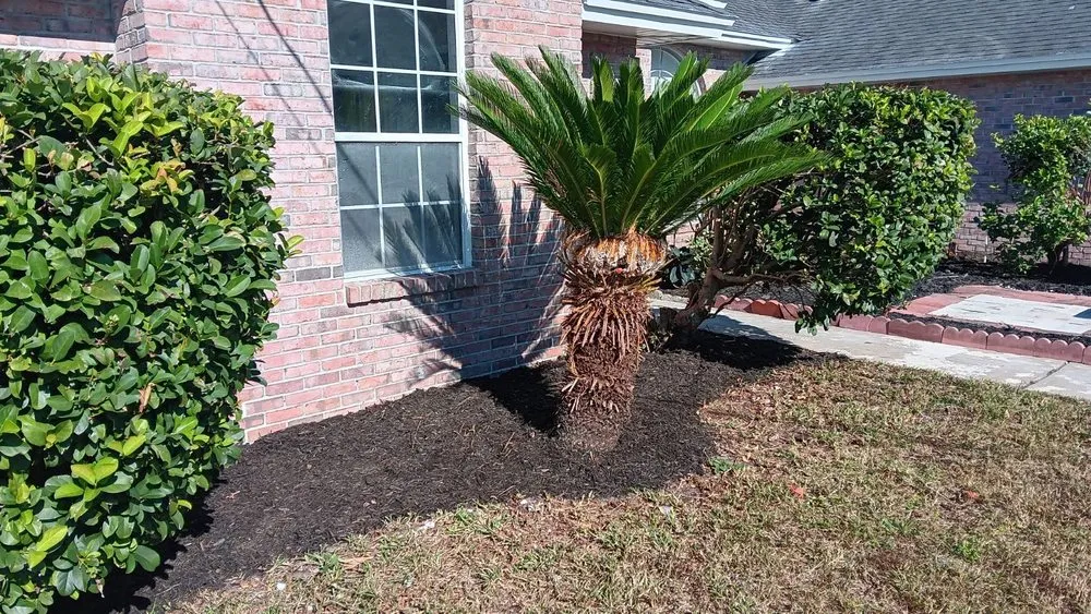 Custom landscape installation with custom design in New Port Richey, FL by The Wright Lawn Care