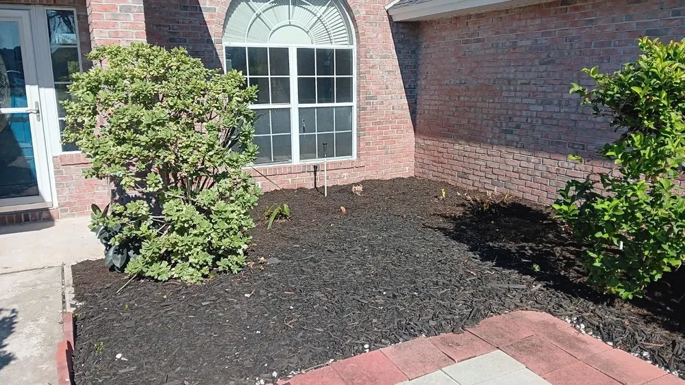 Trusted landscape design for residential properties across New Port Richey, FL - The Wright Lawn Care